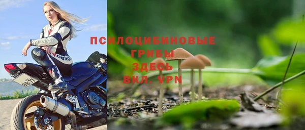 дживик Нягань