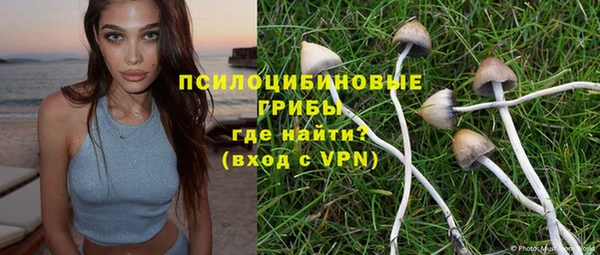 МДПВ Остров