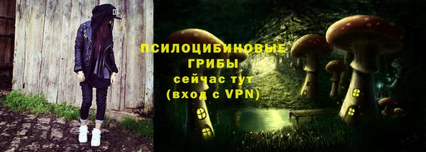 дживик Нягань