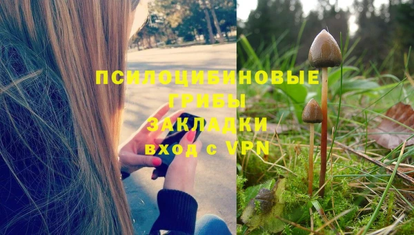 дживик Нягань