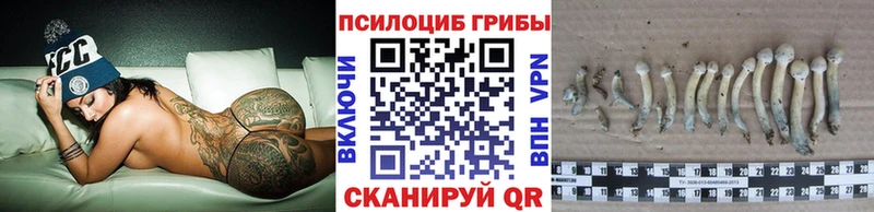 Галлюциногенные грибы ЛСД  магазин  наркотиков  OMG как войти  Ртищево 