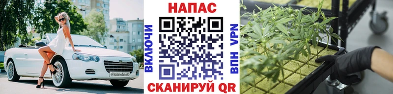 Бошки марихуана тримм  сайты даркнета какой сайт  hydra как зайти  Ртищево  где купить наркоту 