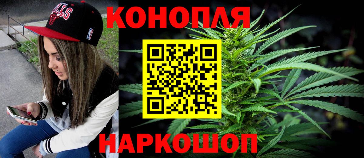 Каннабис план Ртищево